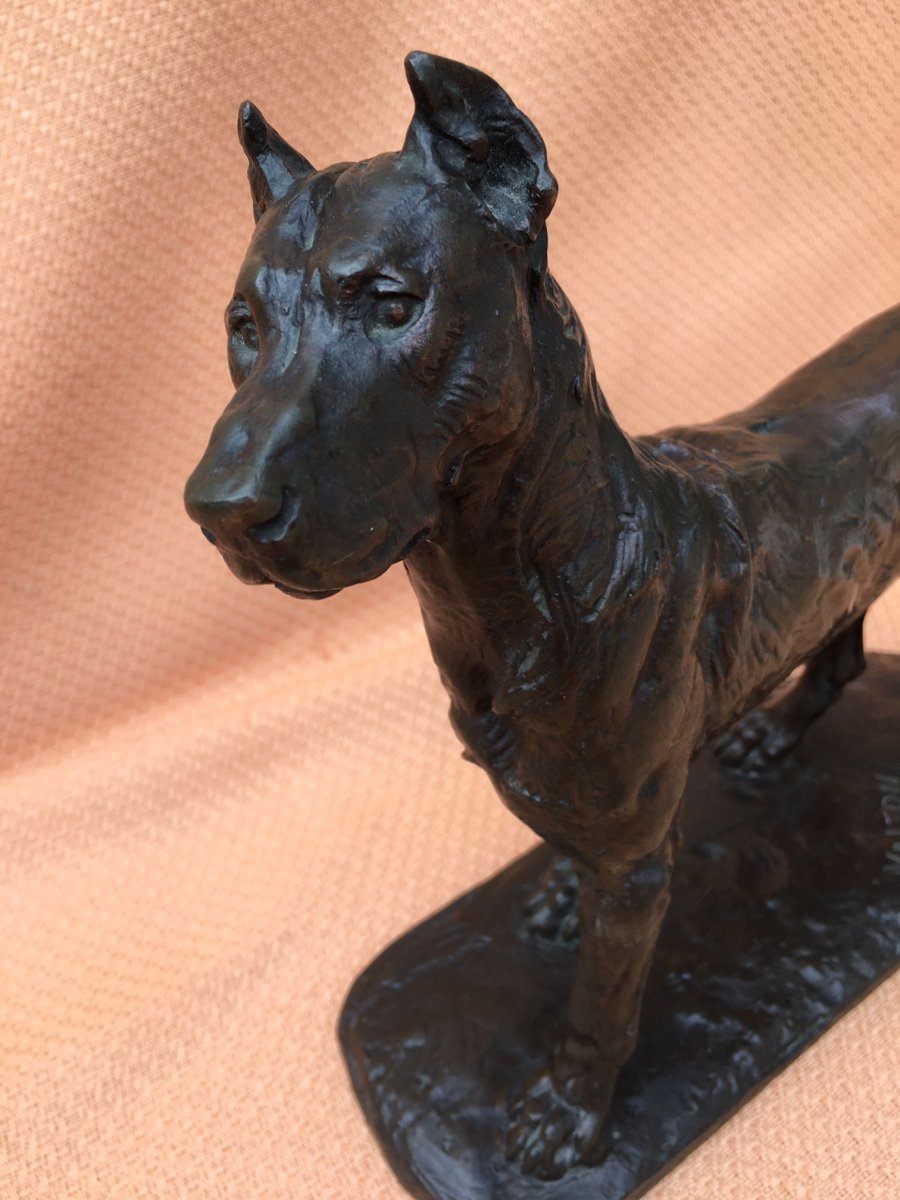 Bronze Dog Sculpture Signed Valton-photo-3