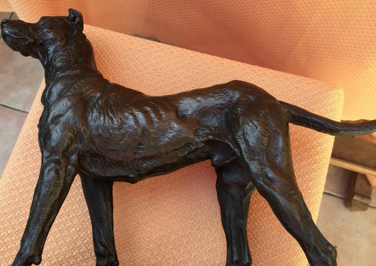 Bronze Dog Sculpture Signed Valton-photo-8