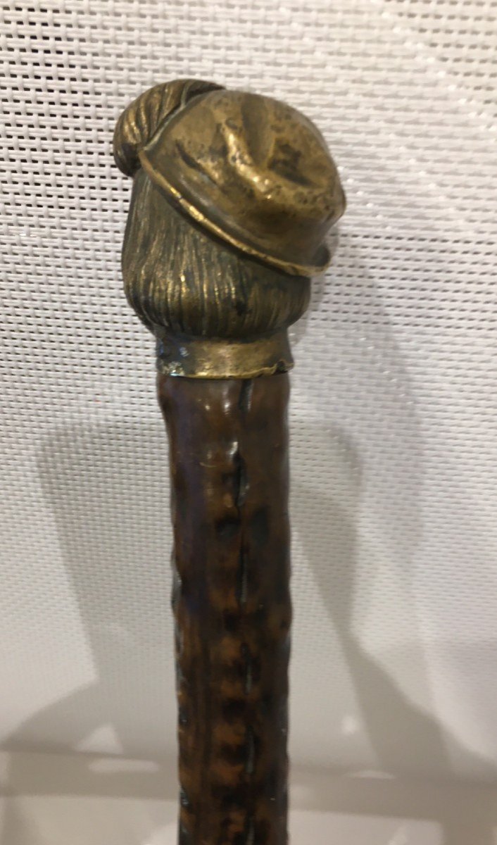 Cane XIX Bronze Head-photo-2