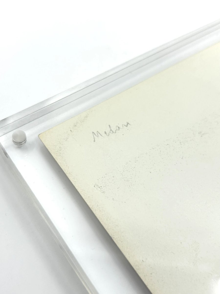 Photographie d'Émile ZOLA - Épreuve originale - 1895 - Grand format de Médan en fleur 15 x 21 -photo-3