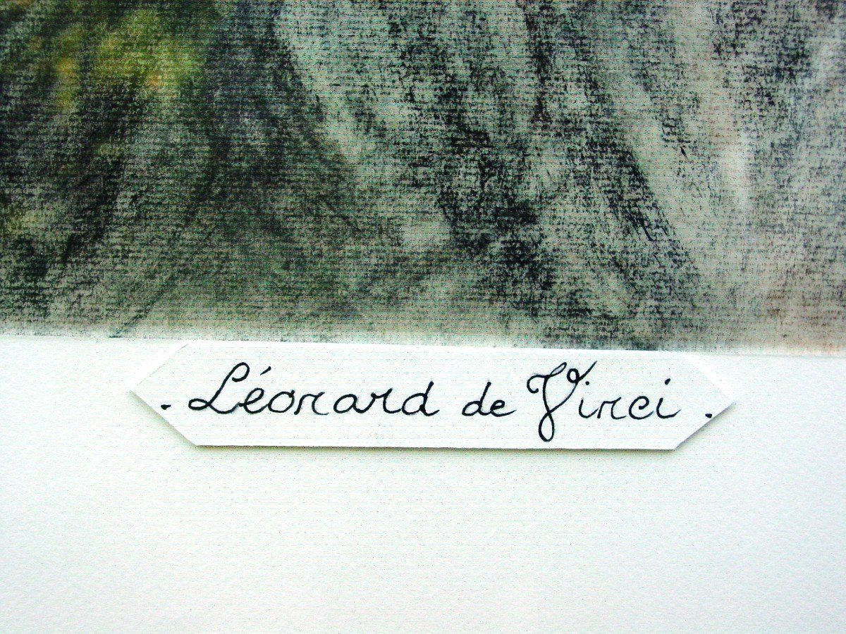 Large Portrait Of Leonardo Da Vinci After The Self-portrait Of Florence-photo-4