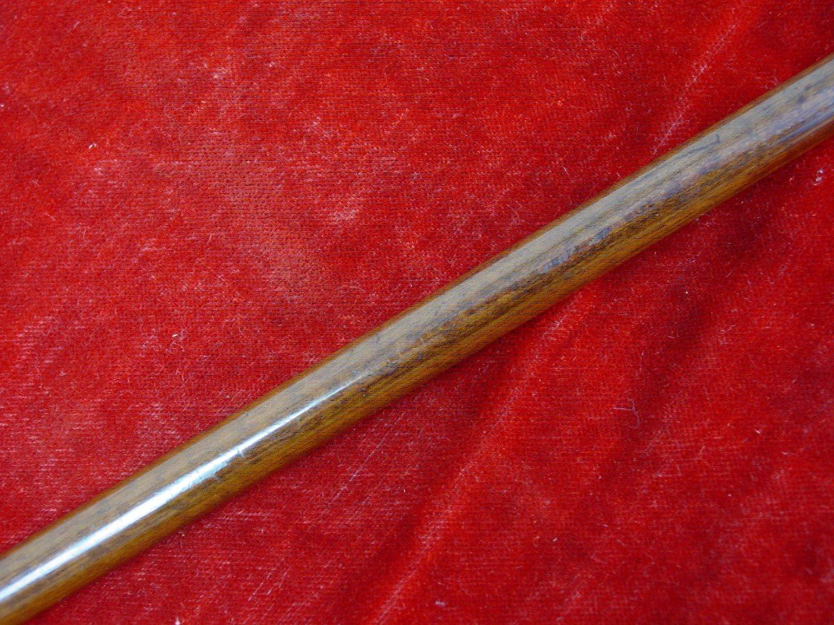 Silver Inlaid Amourette Cane-photo-2