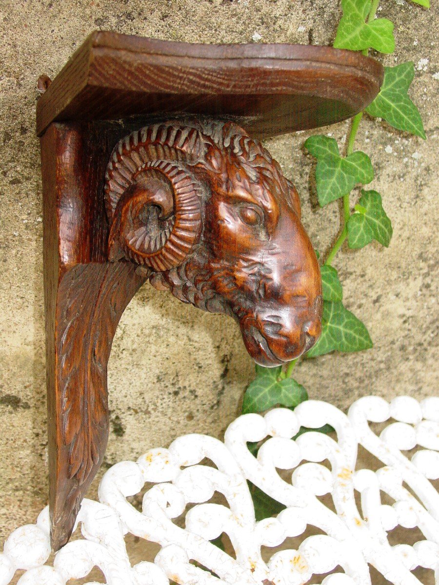 Shelf, Corner Wall Mounted Console In Carved Wood With A Goat's Head-photo-3