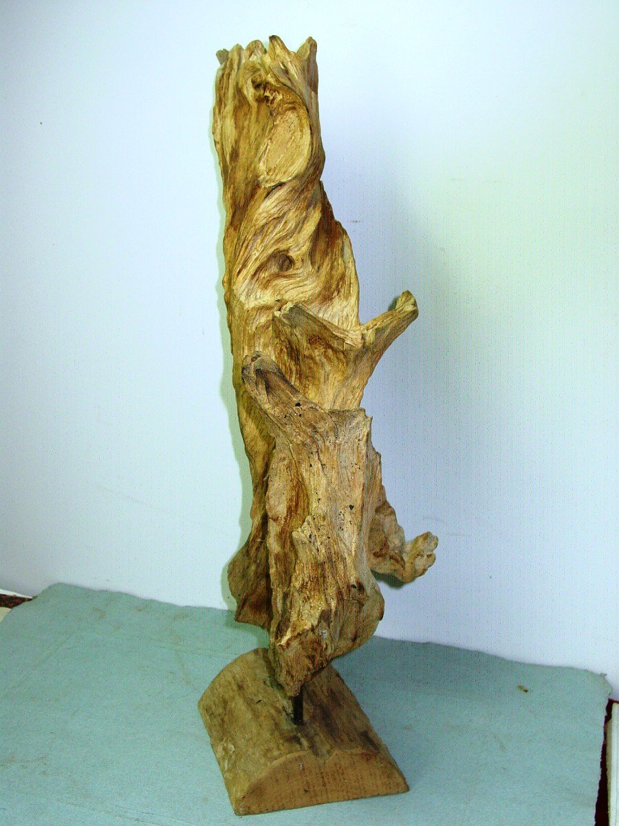 Driftwood Root Sculpture. Circa 1970.-photo-1