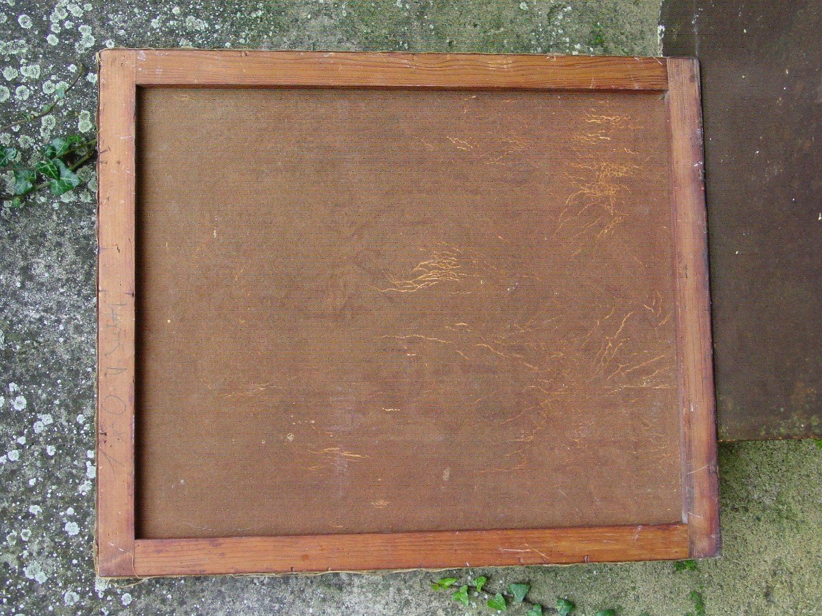 Huile : Pot De Plante Méditerranéenne Agave Signé" Scivio 44"-photo-7