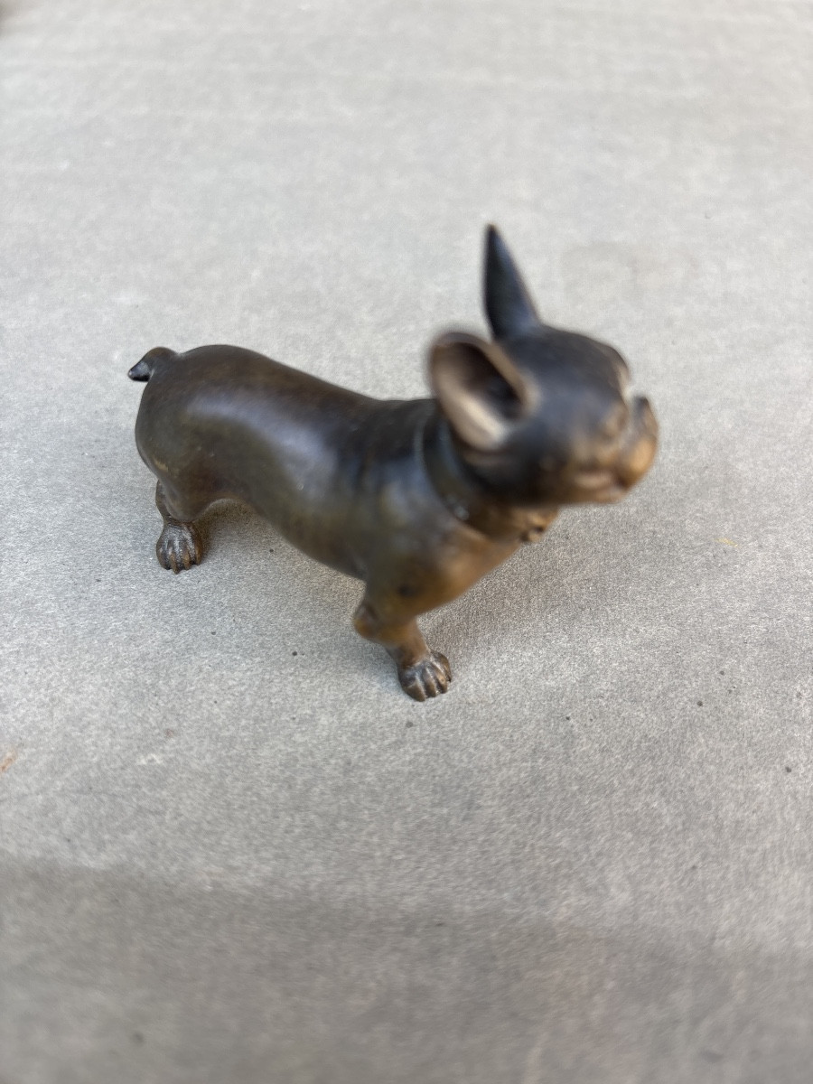 Bouledogue Bronze 1900 Vienne ? Chien -photo-2