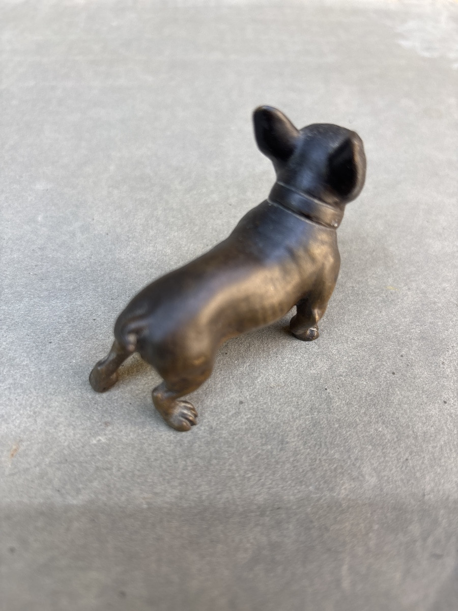Bouledogue Bronze 1900 Vienne ? Chien -photo-3