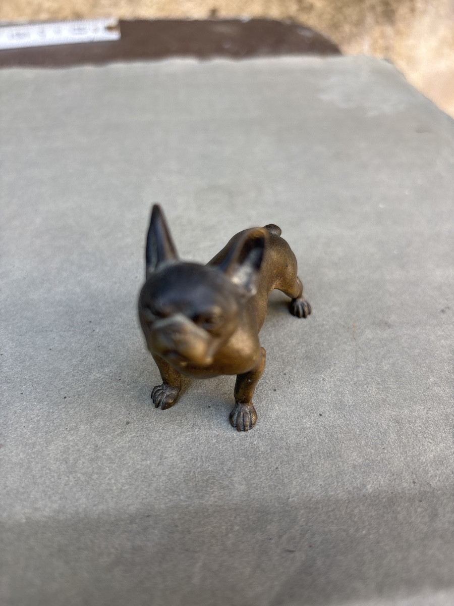 Bouledogue Bronze 1900 Vienne ? Chien -photo-1