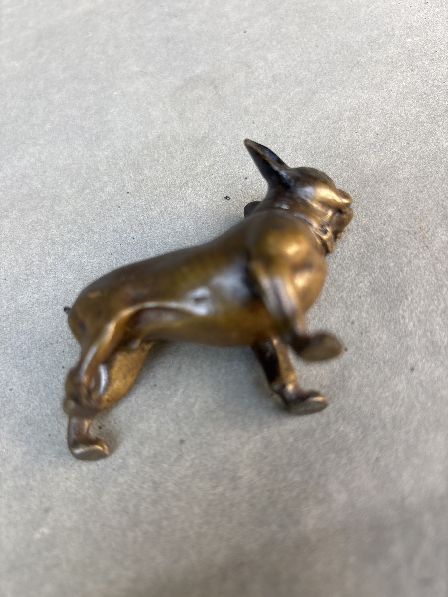 Bouledogue Bronze 1900 Vienne ? Chien -photo-3