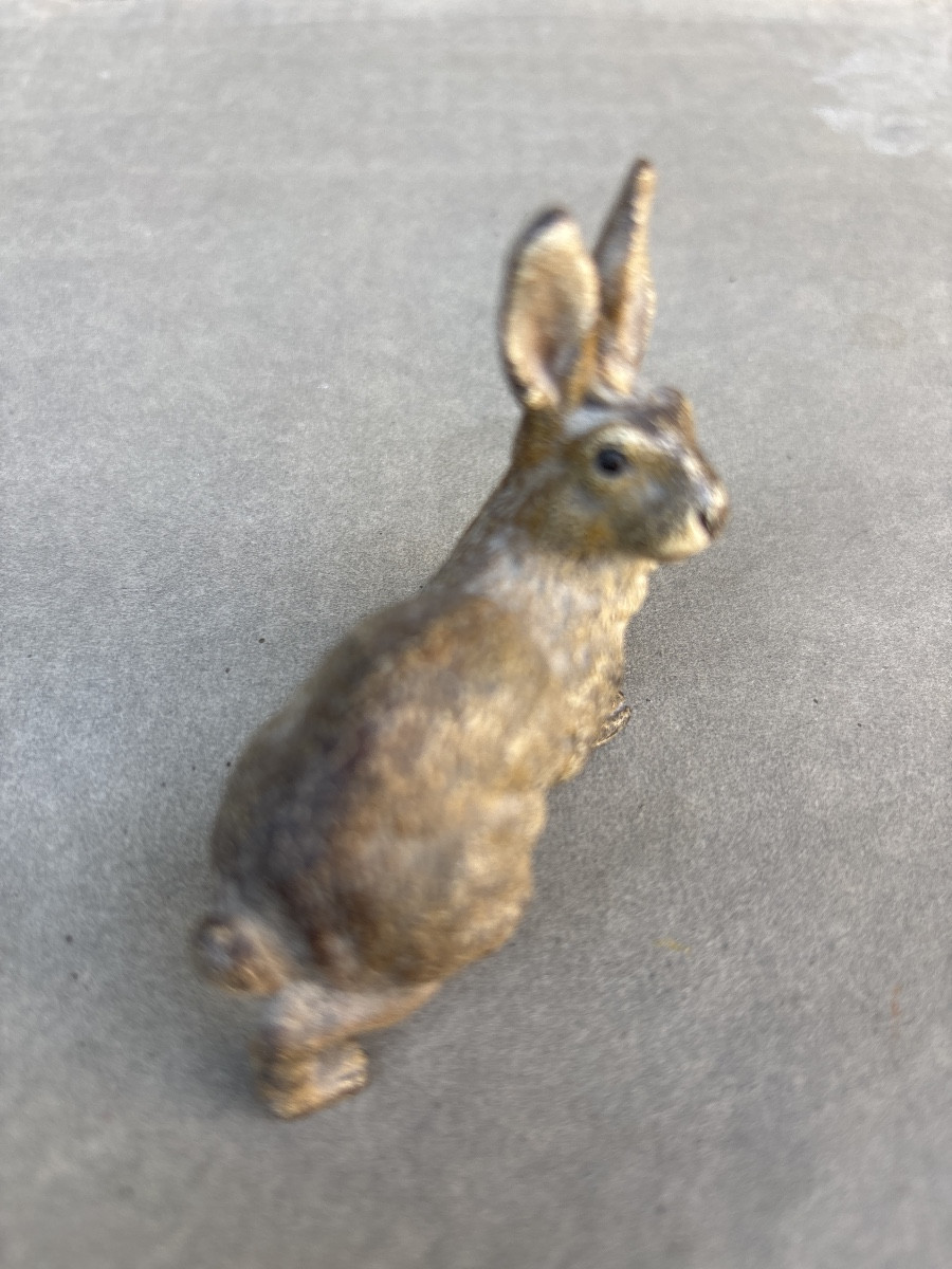 Vienna Bronze Hare 1900-photo-2