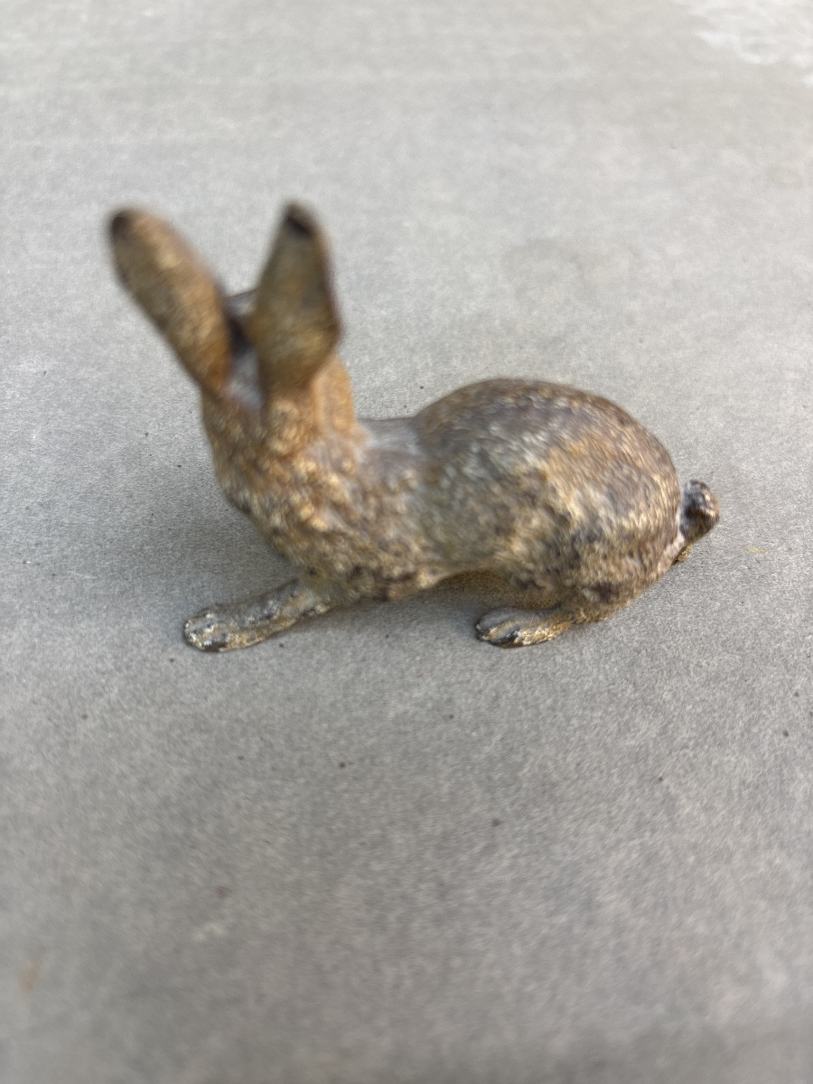 Vienna Bronze Hare 1900-photo-3
