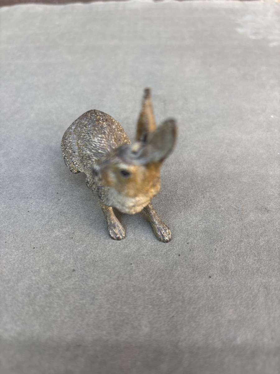 Vienna Bronze Hare 1900-photo-4