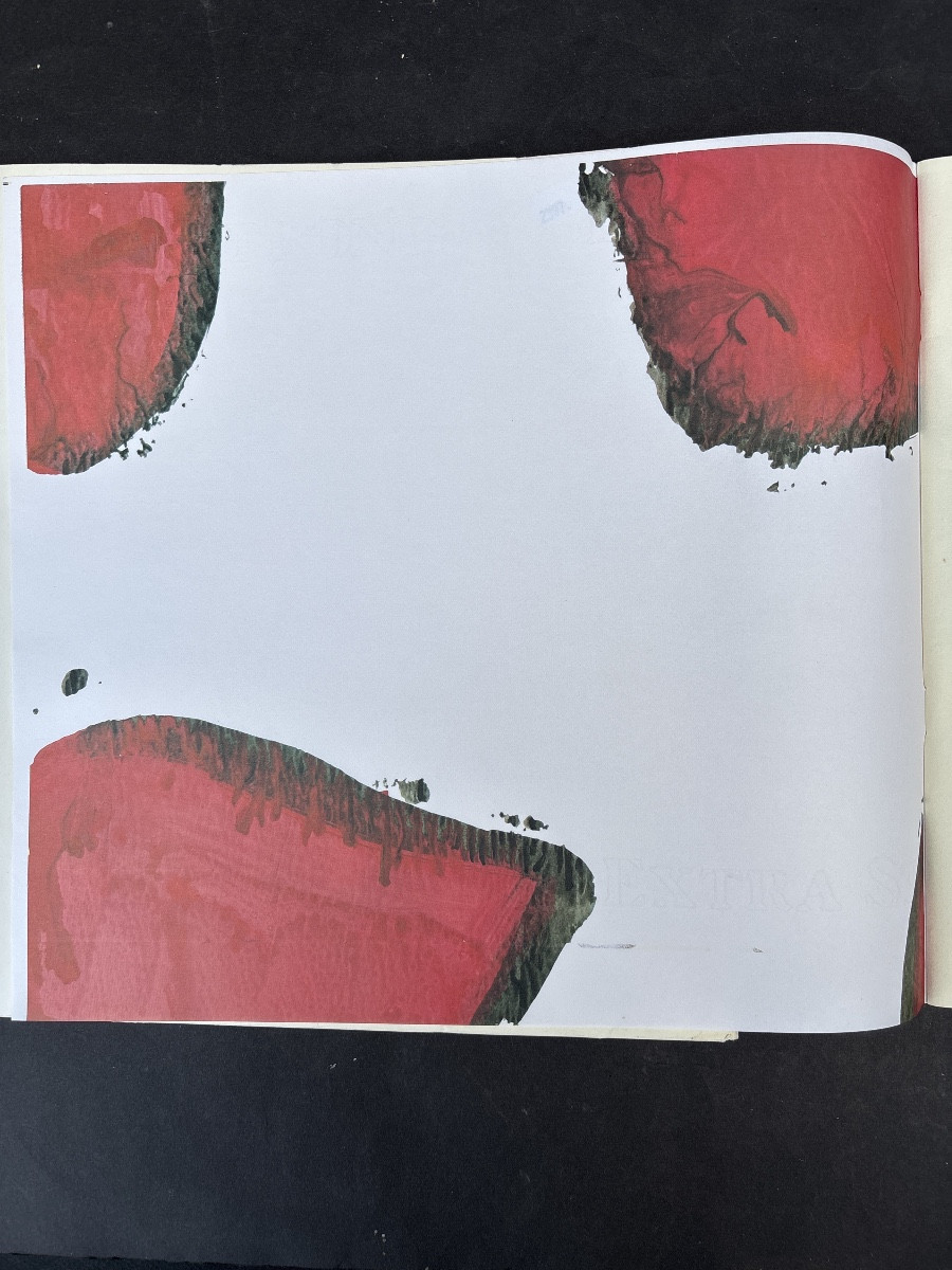Sérigraphie 1982 Claude Viallat chez « Muro Torto « + 16 autres d artistes 