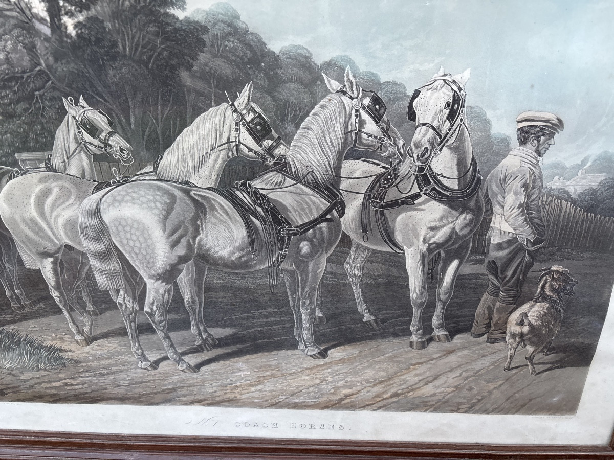 Large Lithograph: “coach Horses” By Charles Hunt, Late 19th Century -photo-4