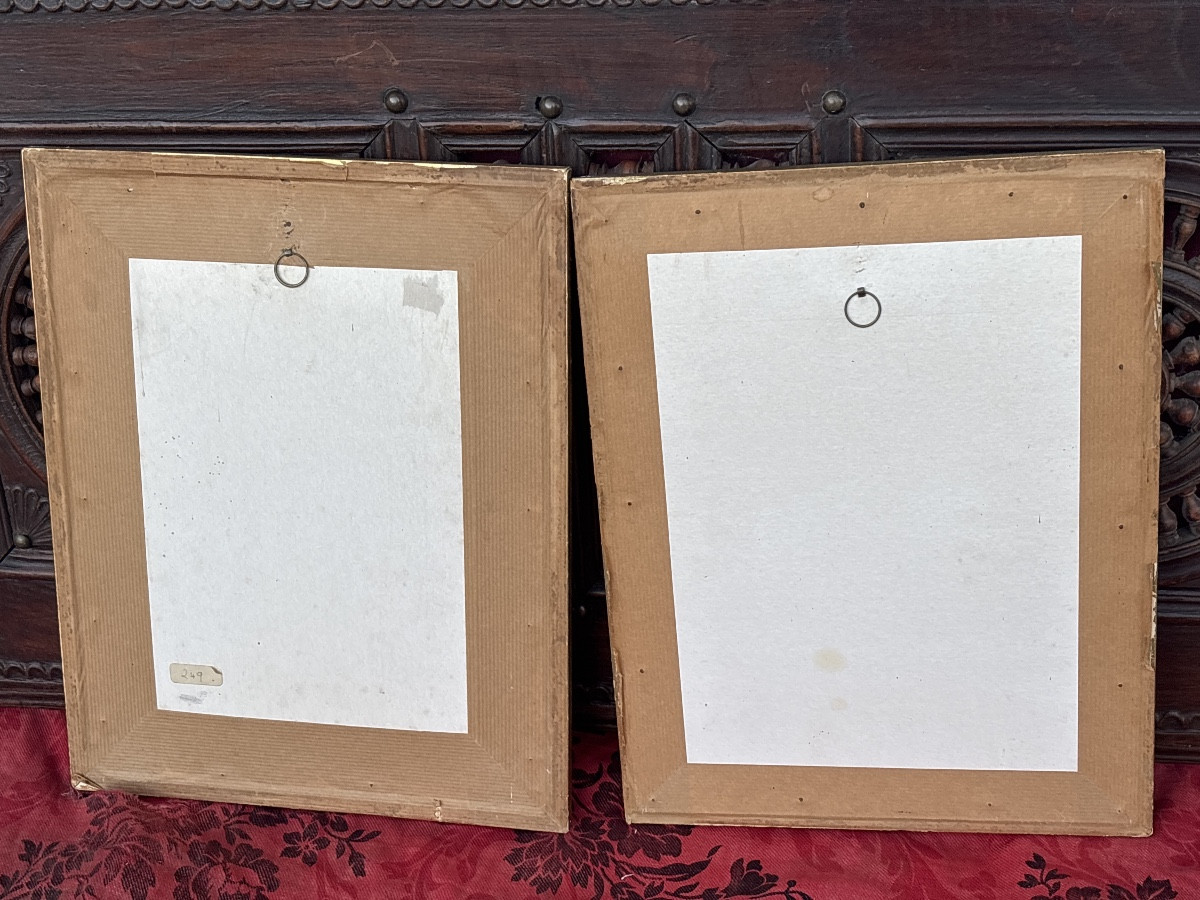 2 gravures Botaniques du 19 eme aquarellees -photo-3