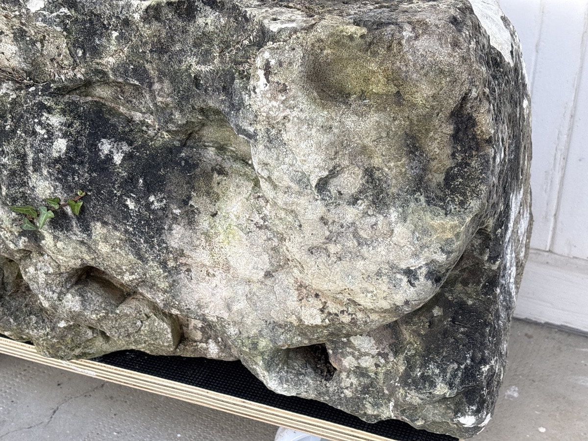 Epoque Gallo-Romaine  Valençay  Taureau en Bas-relief-photo-3