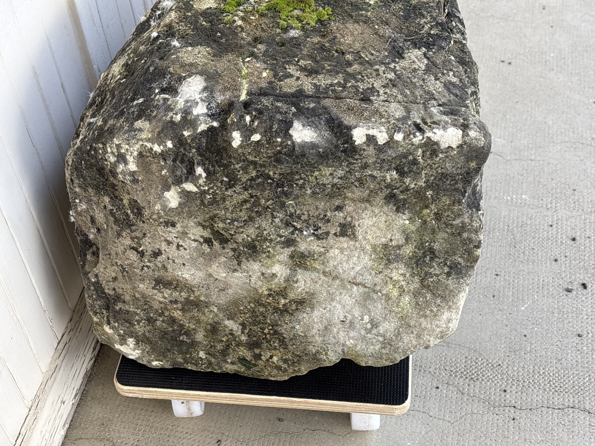 Epoque Gallo-Romaine  Valençay  Taureau en Bas-relief-photo-1