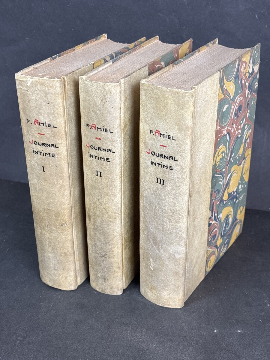 Journal intime F. Amiel chez  Georg à Genève 