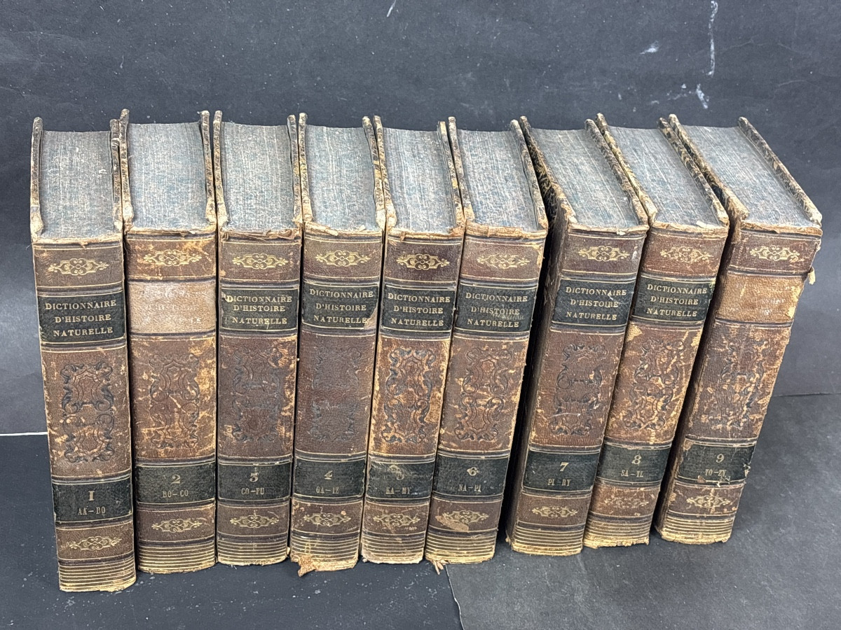 Valmont de Bomare Dictionnaire raisonné d histoire naturelle 1775