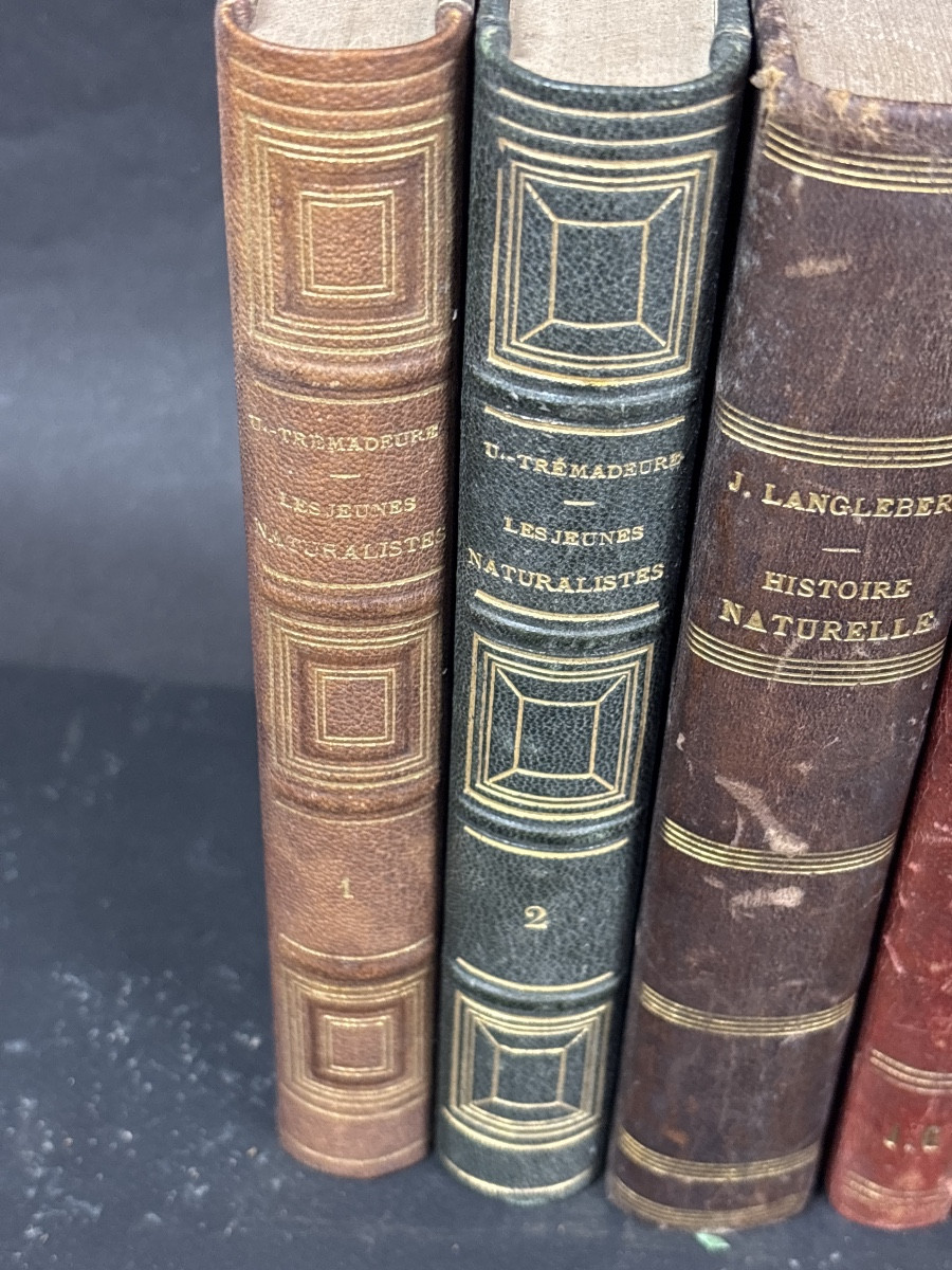 8 volumes histoire naturelle reliés vers 1900-photo-2
