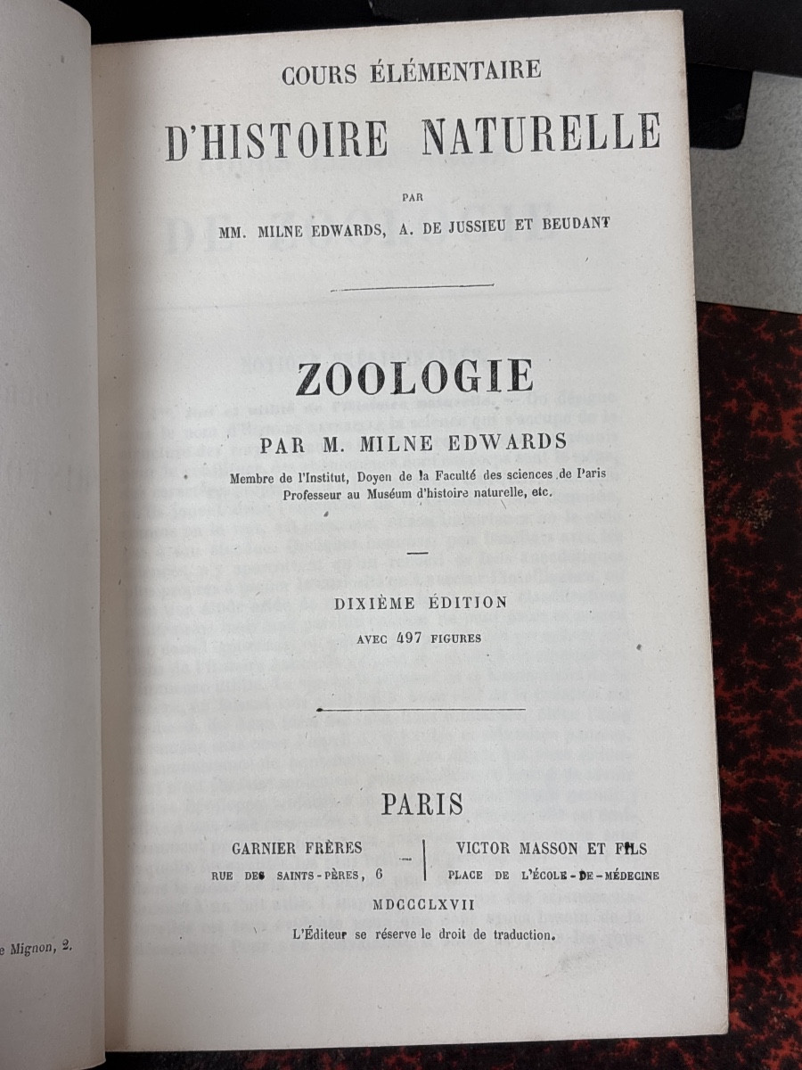8 volumes histoire naturelle reliés vers 1900-photo-3