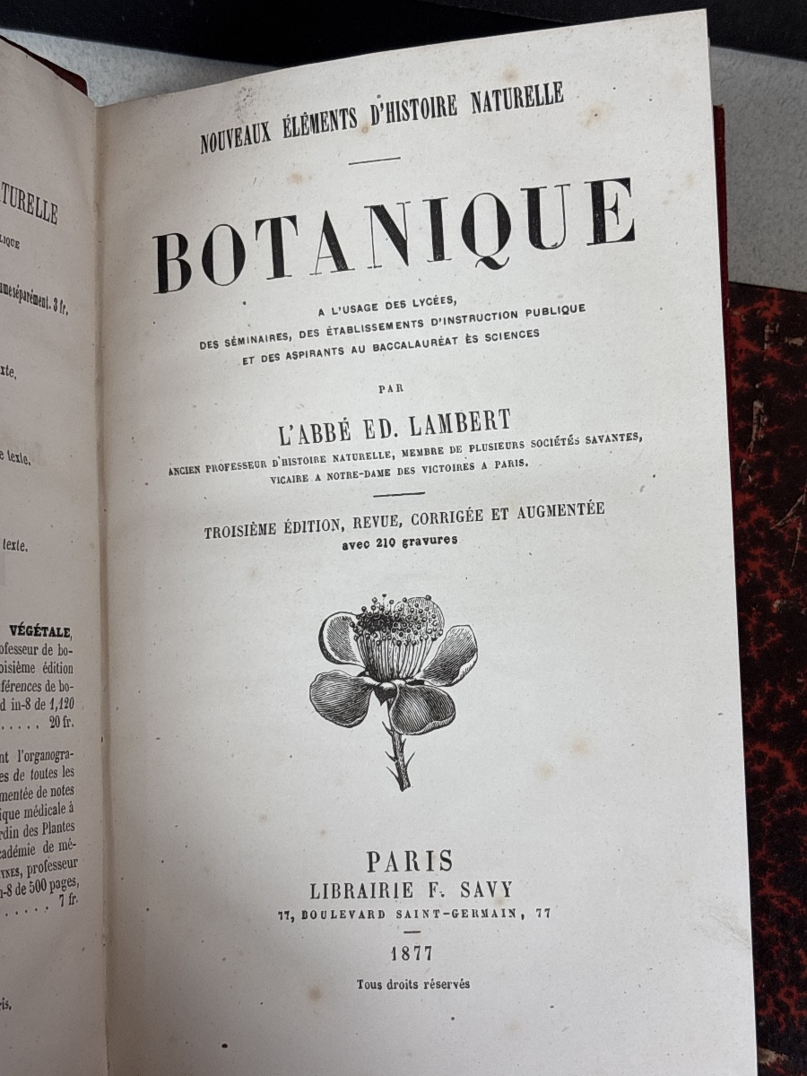 8 volumes histoire naturelle reliés vers 1900-photo-5