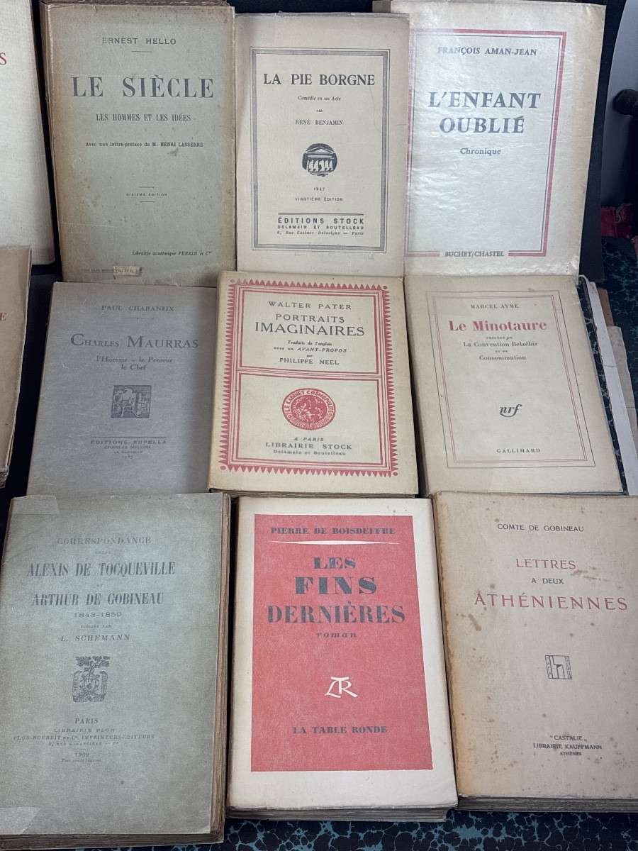 + de 35 ouvrages romans essais littérature de droite -photo-3
