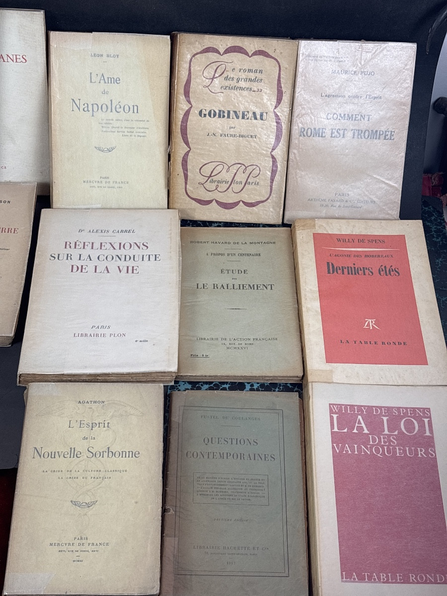 + de 35 ouvrages romans essais littérature de droite -photo-4
