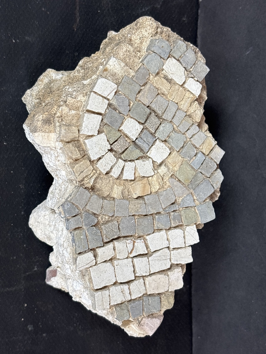 Fragment de Mosaïque Romaine Antique 