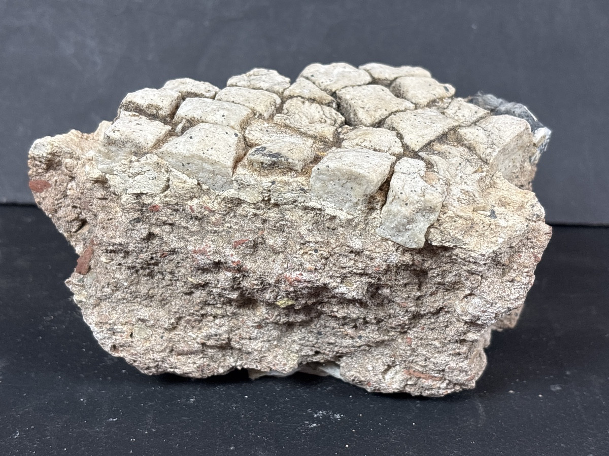 Fragment Mosaïque Romaine Antique -photo-2