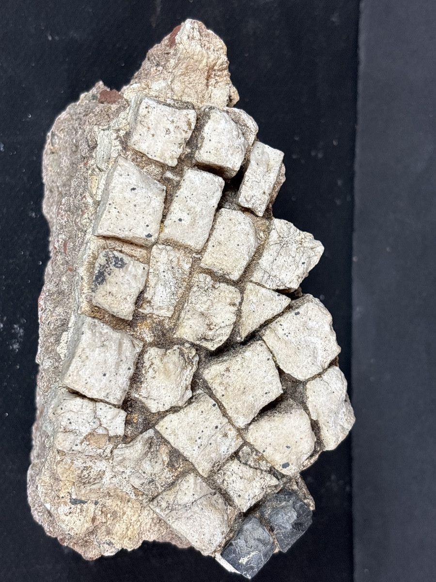 Fragment Mosaïque Romaine Antique 