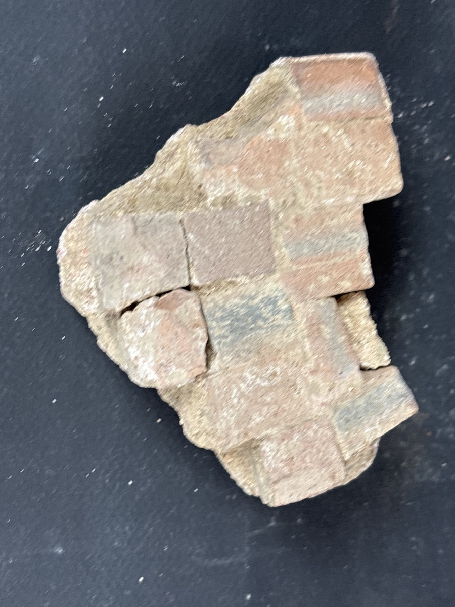 Fragment Mosaïque Romaine Antique 