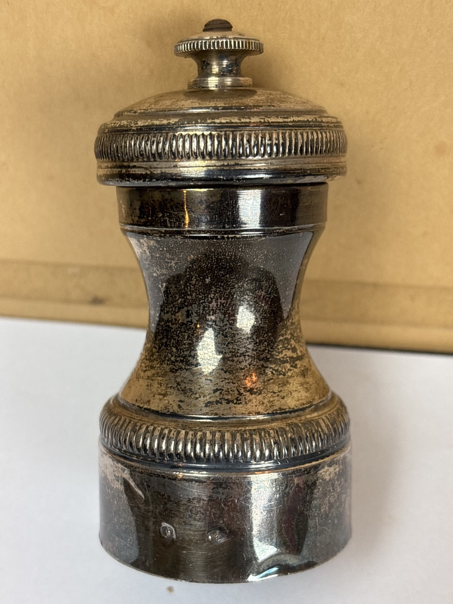 Poivrier Argent Peugeot 