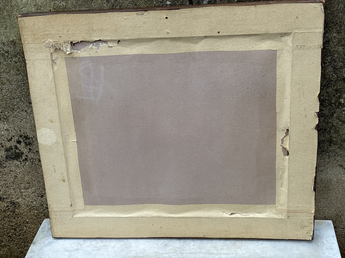 Cheval Harnaché lithographie A. Adam -photo-1