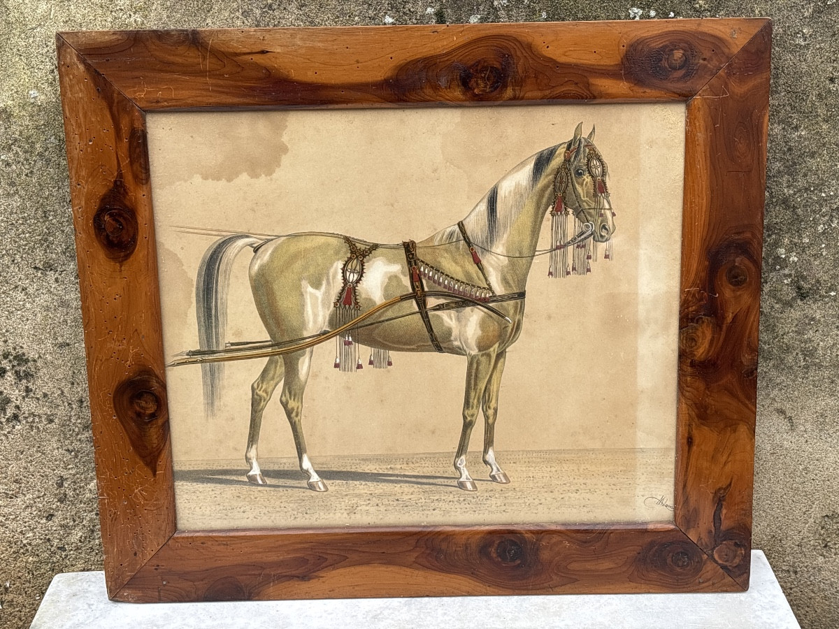 Cheval Harnaché lithographie A. Adam 