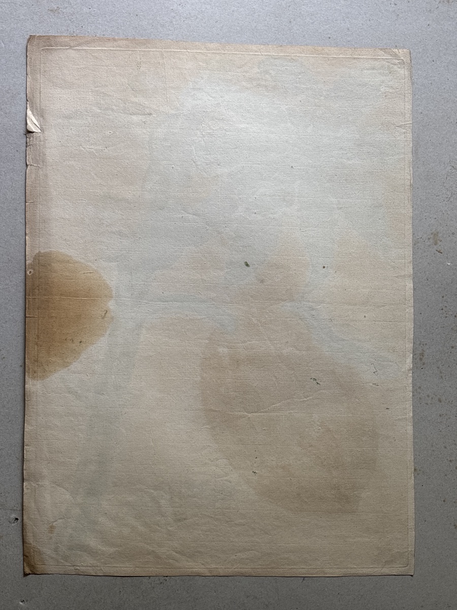 Meriam Maria Sibylla (1647-1717) Papay  planche 64-photo-2