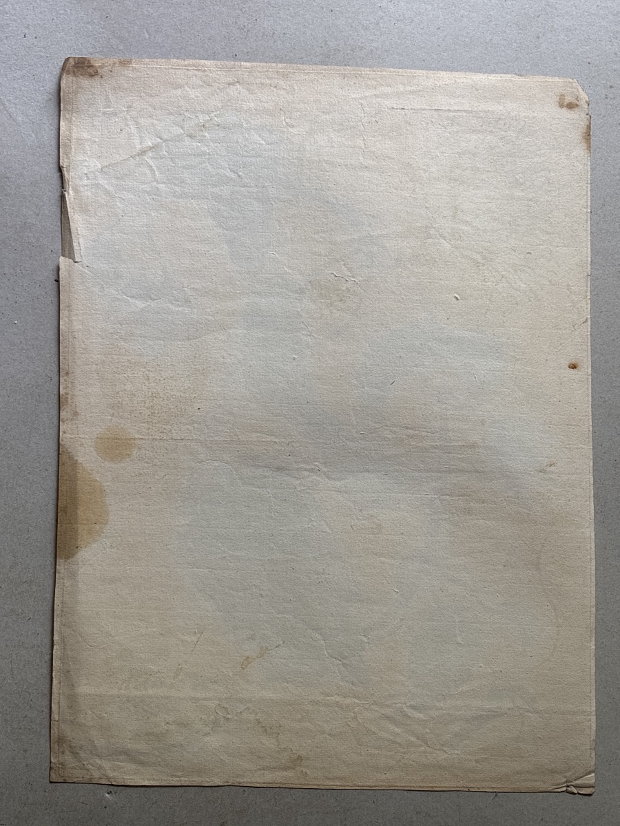 Meriam Maria Sibylla (1647-1717)  Marquiaas planche 21-photo-2
