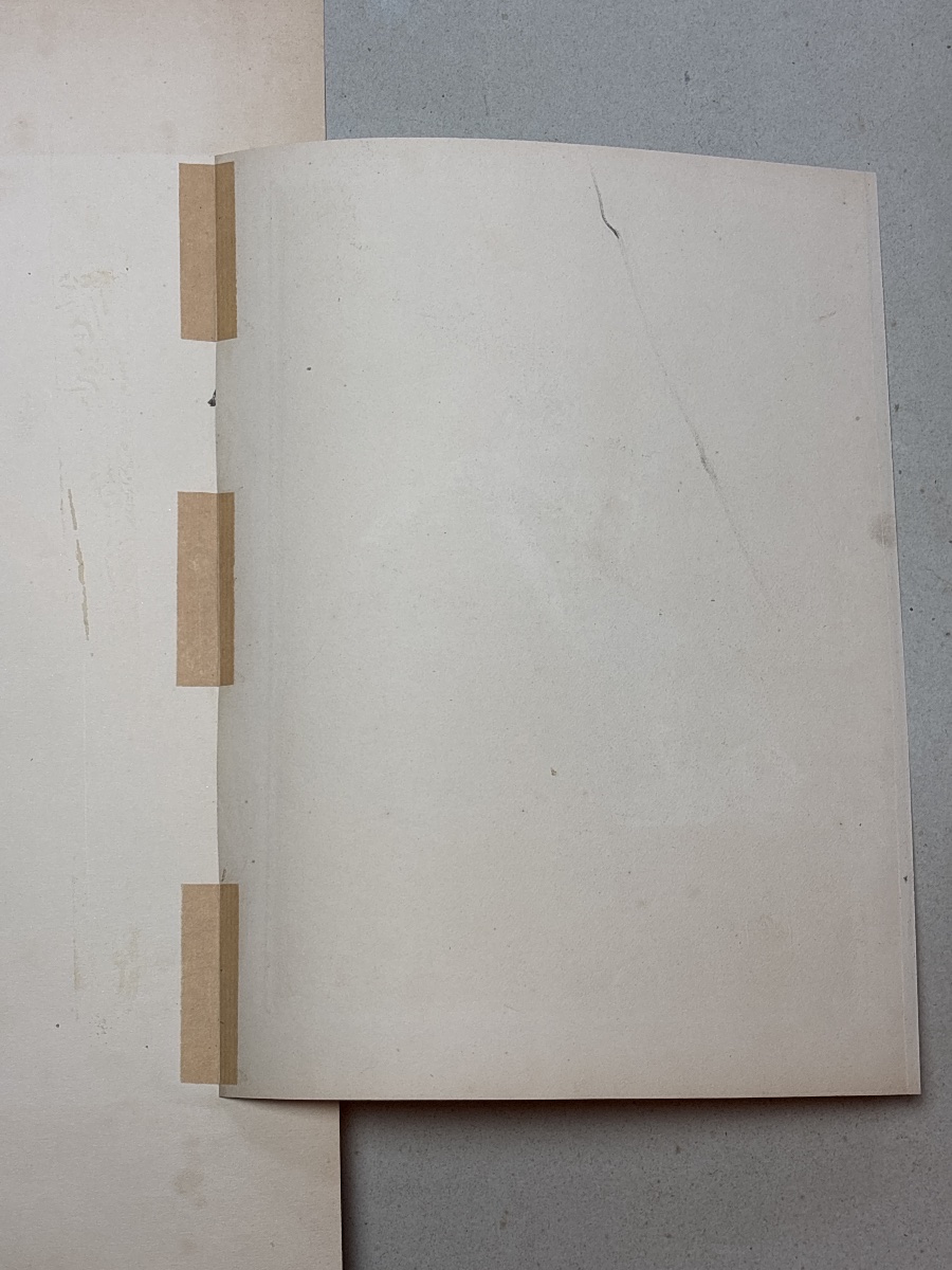 P. Gavarni (1804-1866) lithographie l’ artiste physionomie des modes-photo-1