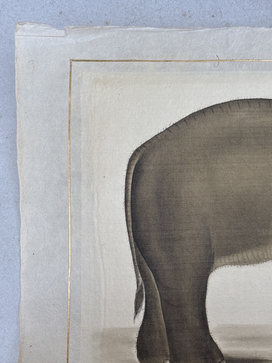 La Roche Laffitte (1943) Elephant Painted In Watercolor -photo-4