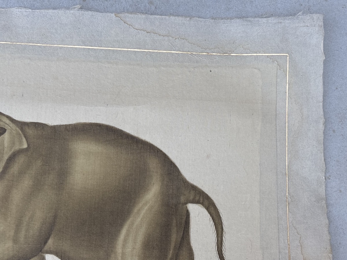 La Roche Laffitte (1943) Elephant Painted In Watercolor -photo-4