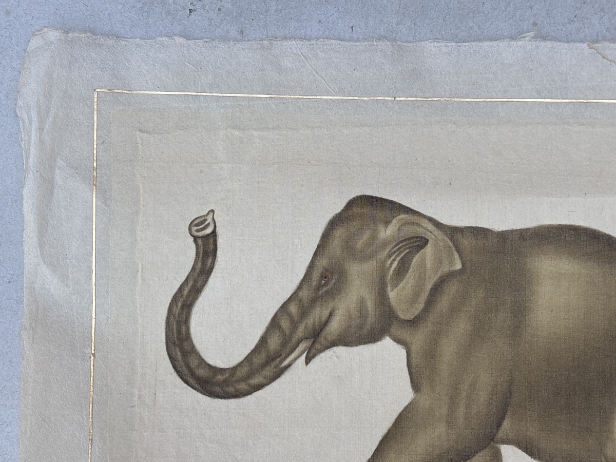 La Roche Laffitte (1943) Elephant Painted In Watercolor -photo-1