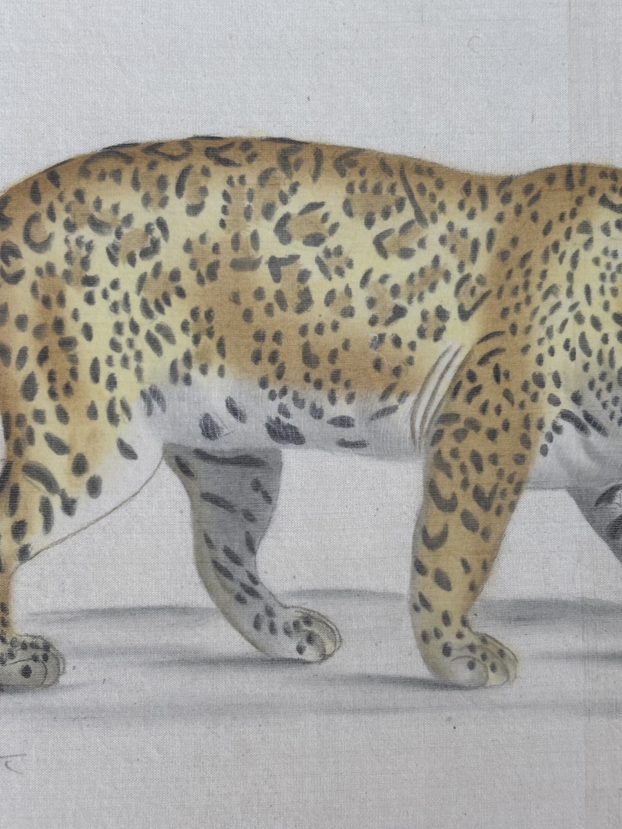 La Roche Laffitte (1943) Léopard traité à l aquarelle -photo-6