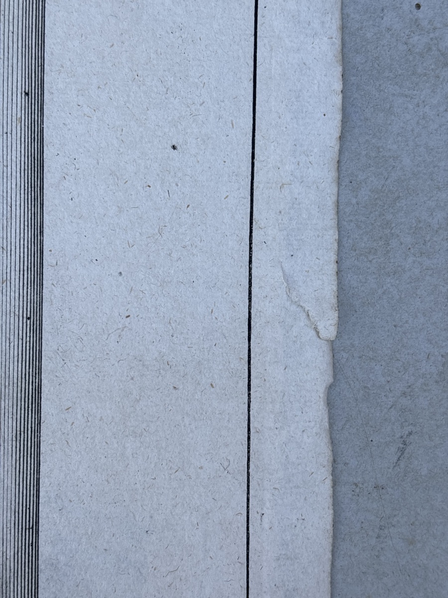 Georg Andreas Bockler : Cinq Estampes du 17 eme de Fontaines - Architectura Curiosa Nova -photo-5