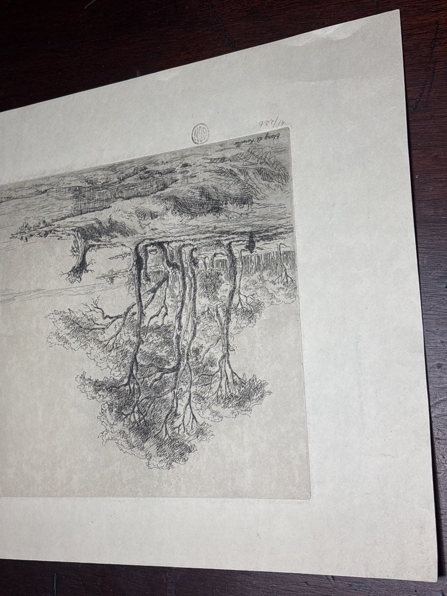Maurice V. Acheter (1881–1963), Signed Etching With Stamp: Kervilio Pond, Morbihan -photo-2