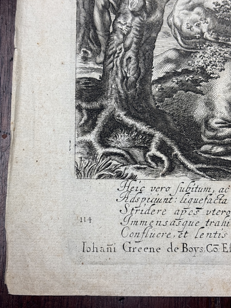 Wenceslaus Hollar (1607–1677) Wenzel Hollar Engraving Bees Georgics -photo-3