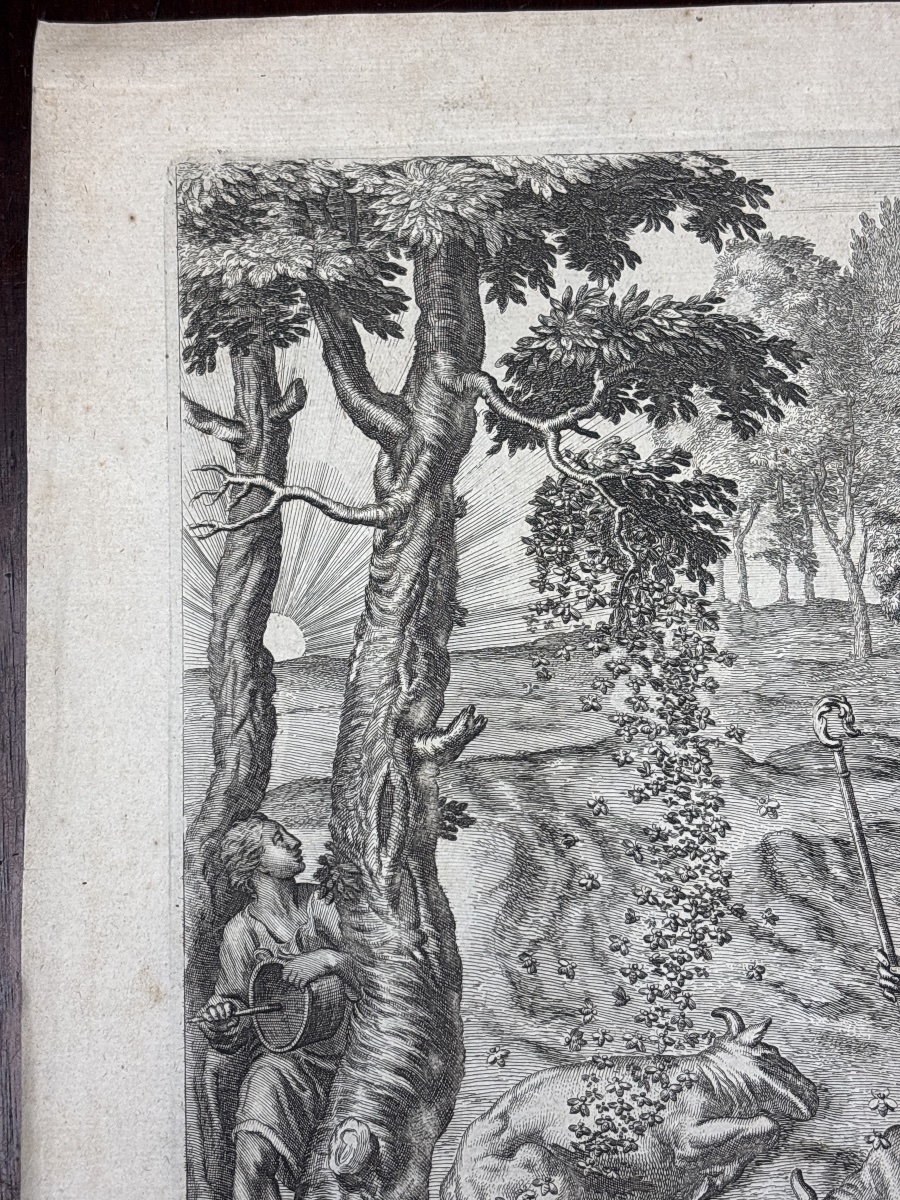 Wenceslaus Hollar (1607–1677) Wenzel Hollar Engraving Bees Georgics -photo-2