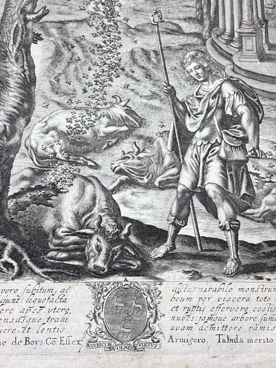 Wenceslaus Hollar (1607–1677) Wenzel Hollar Engraving Bees Georgics 