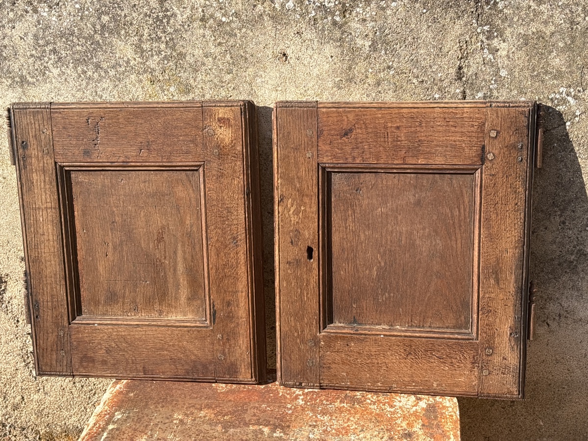 Paire de petites portes Chêne du 19 eme ( 42,5 x  36 cm.) x 2