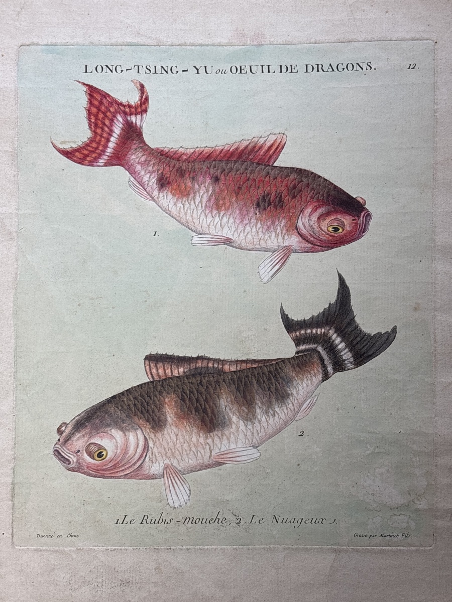 F.n. Martinet (1725–1804), Long-tsing-hu, Engraving Depicting The History Of Sea Bream, China, 1780-photo-3