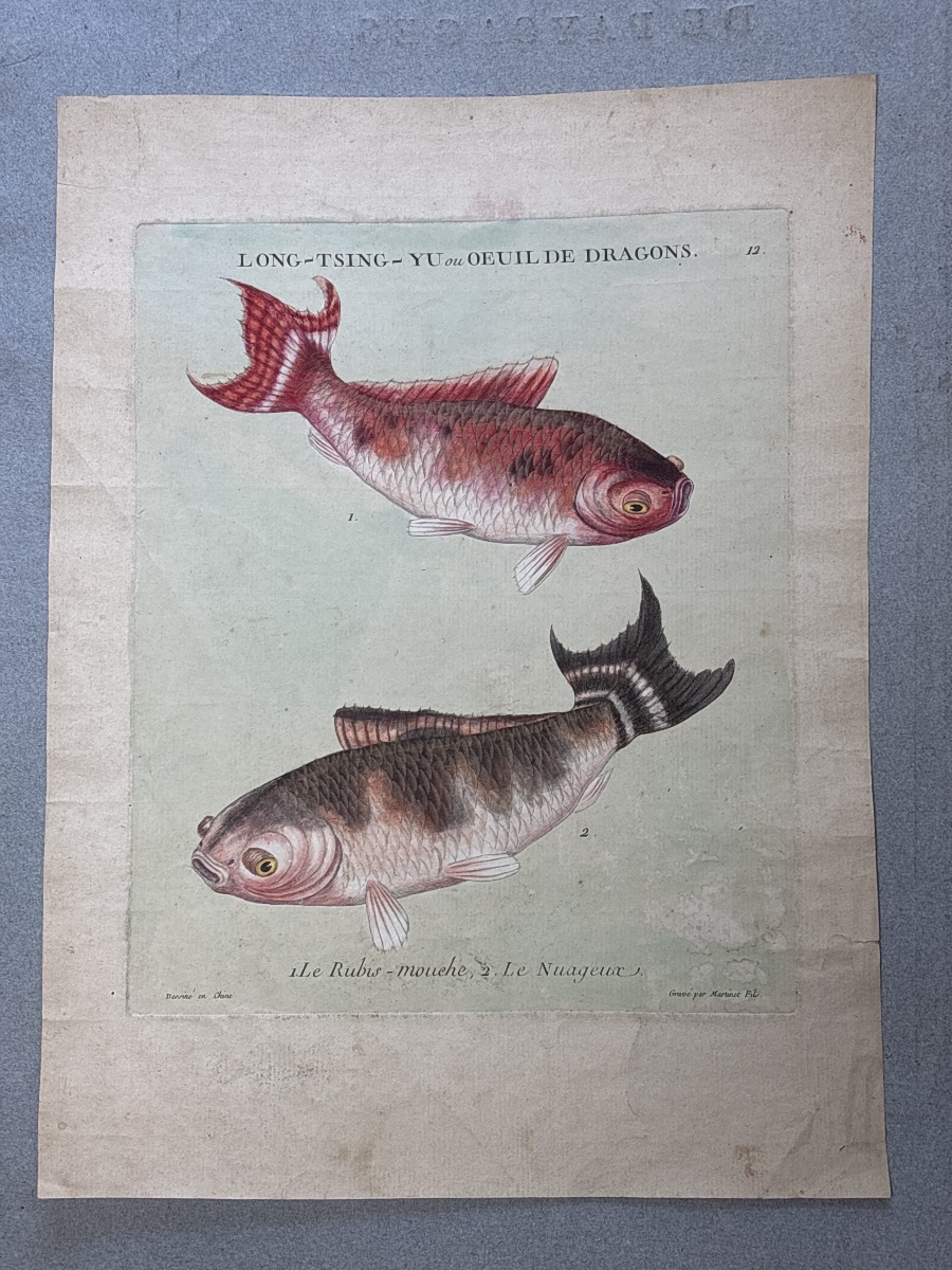F.n. Martinet (1725–1804), Long-tsing-hu, Engraving Depicting The History Of Sea Bream, China, 1780-photo-4